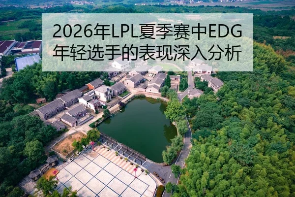 2026年LPL夏季赛中EDG年轻选手的表现深入分析