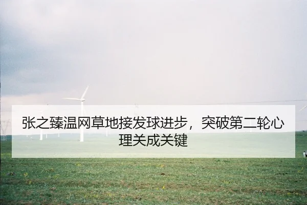 张之臻温网草地接发球进步，突破第二轮心理关成关键